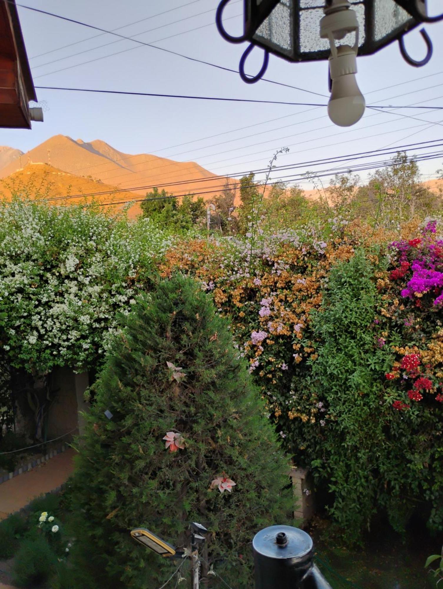 Hostal Donde Rita Vicuna Luaran gambar